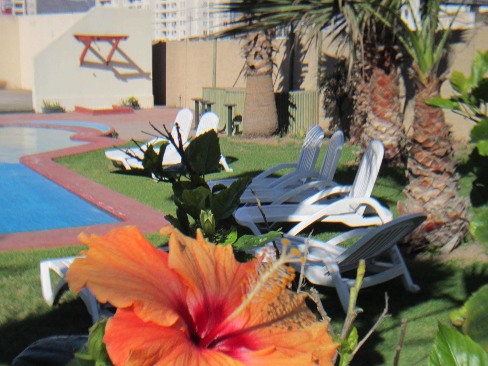 לה סרנה Hotel Canto Del Mar מראה חיצוני תמונה
